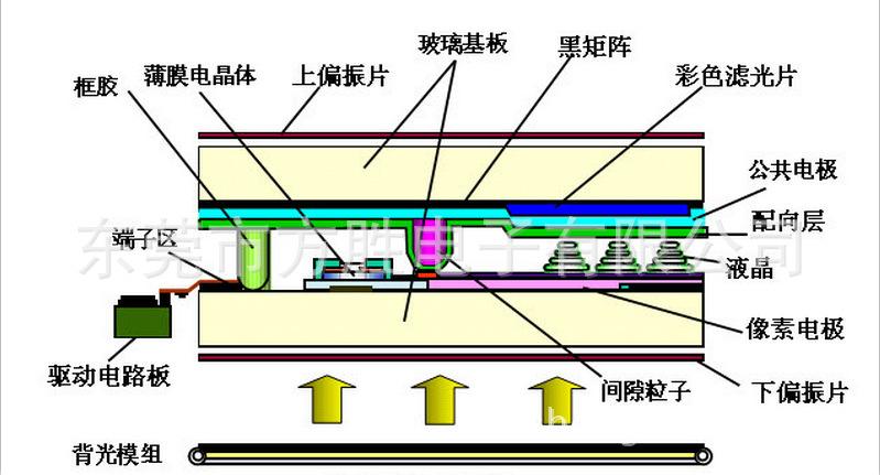 LCD結構