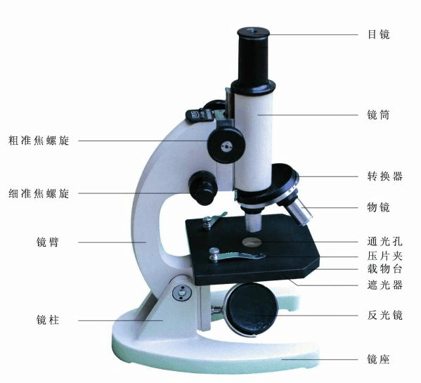 顯微鏡FCC認證